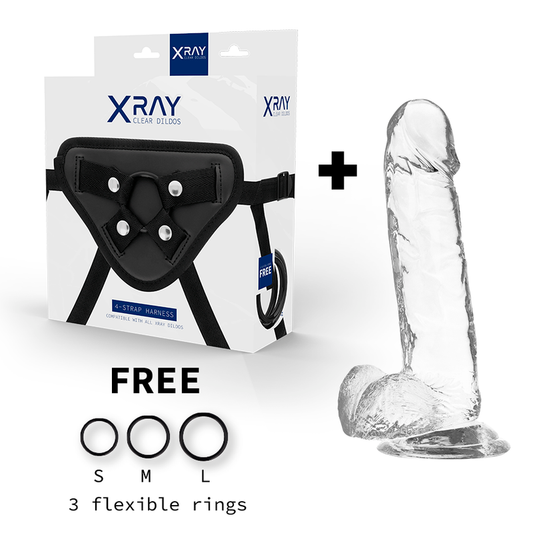 Xray harness + realistic dildo transparent 20cm x 4.5cm cock with balls