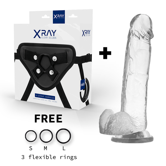 Xray harness + realistic dildo transparent with balls 22cm x 4.6cm