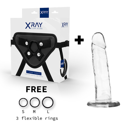 Xray harness + realistic dildo transparent 18cm x 4cm sex toy suction cup
