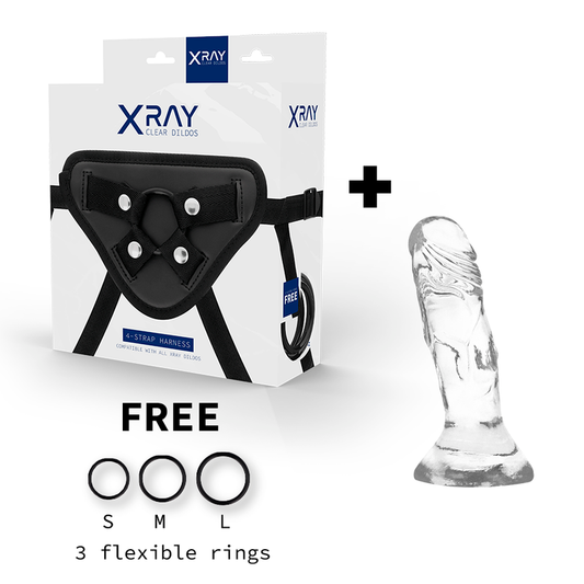 Xray harness + realistic dildo transparent 12cm x 2.6cm