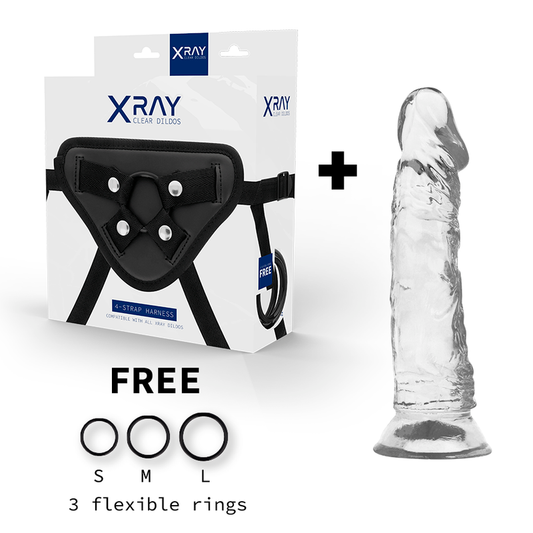 Imbracatura a raggi X + dildo realistico trasparente 19 cm x 4 cm sex toy flessibile